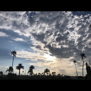 Meet your Posher, Winnie